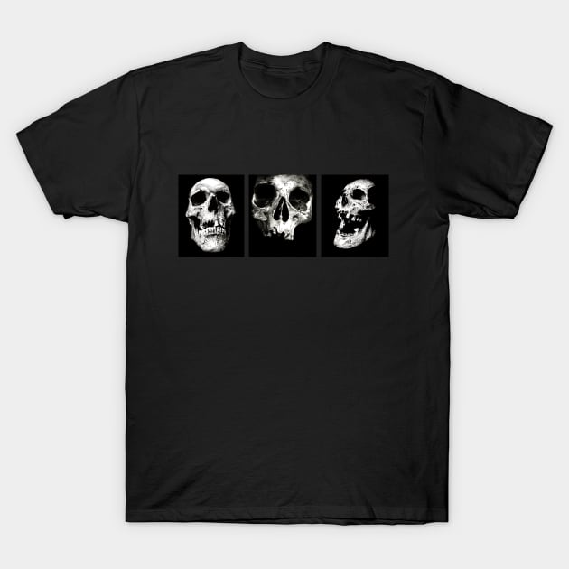 3 Skulls T-Shirt by Area 52